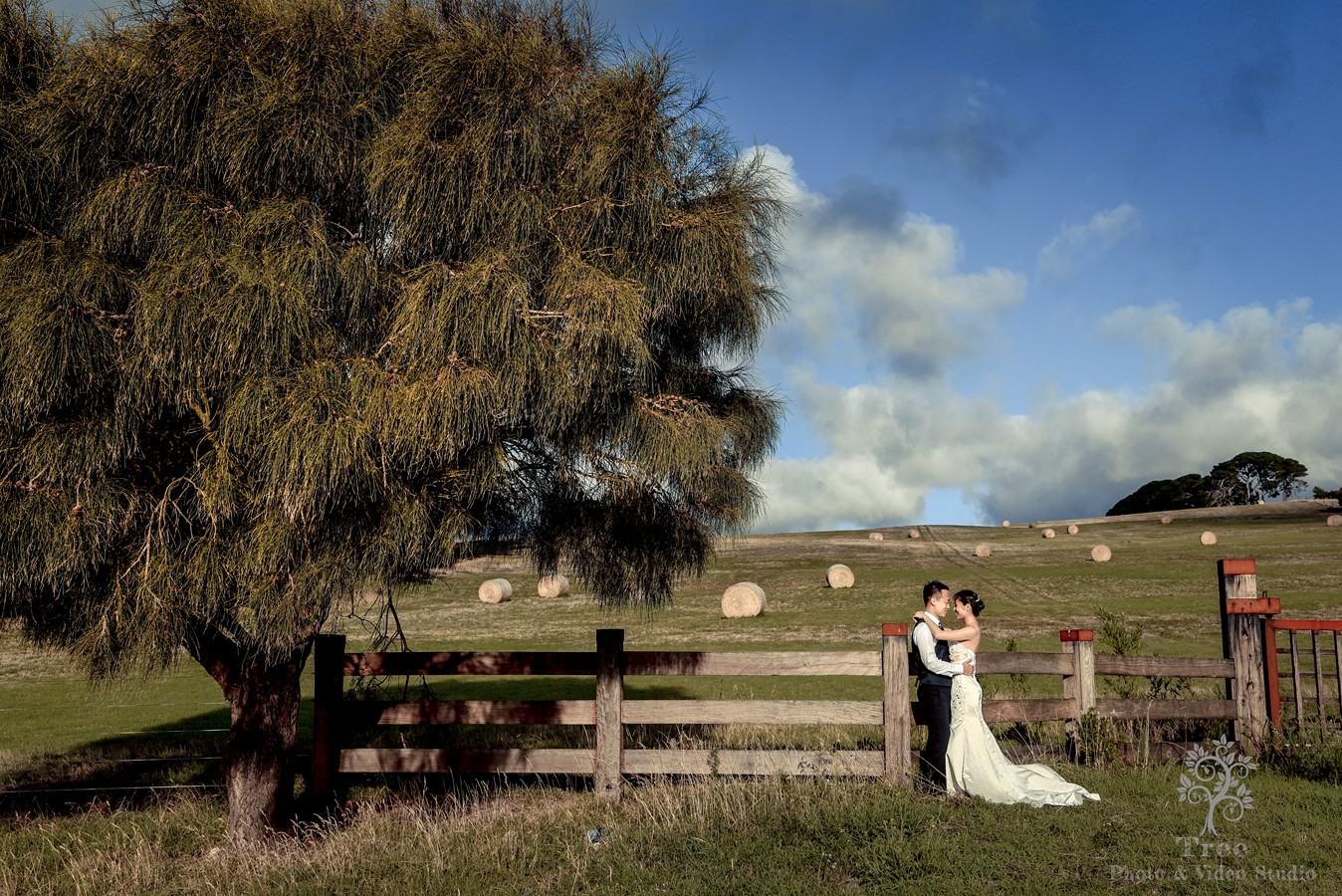 Mornington Peninsula Pre-wedding Photography