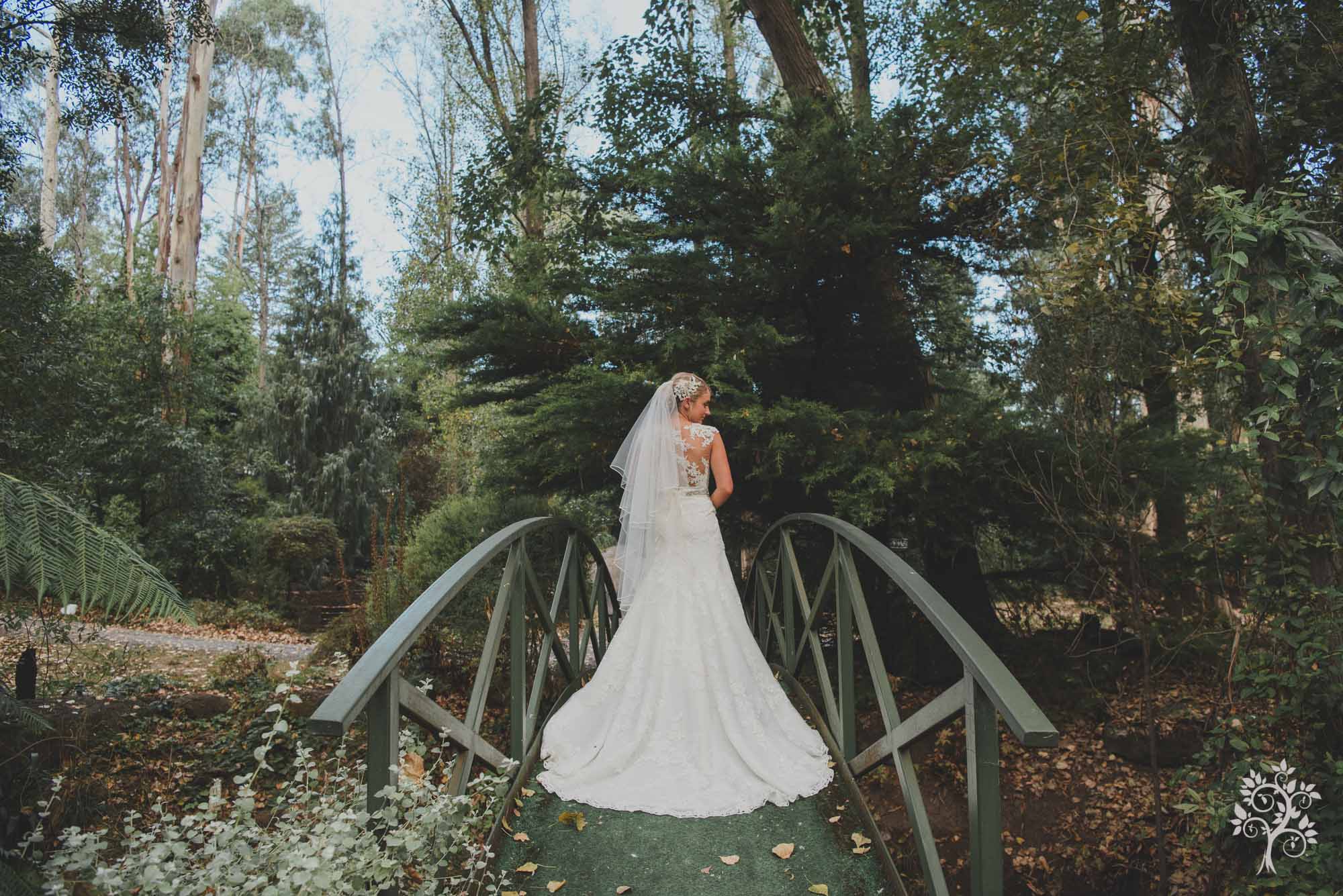 Dandenong Mount Range Wedding