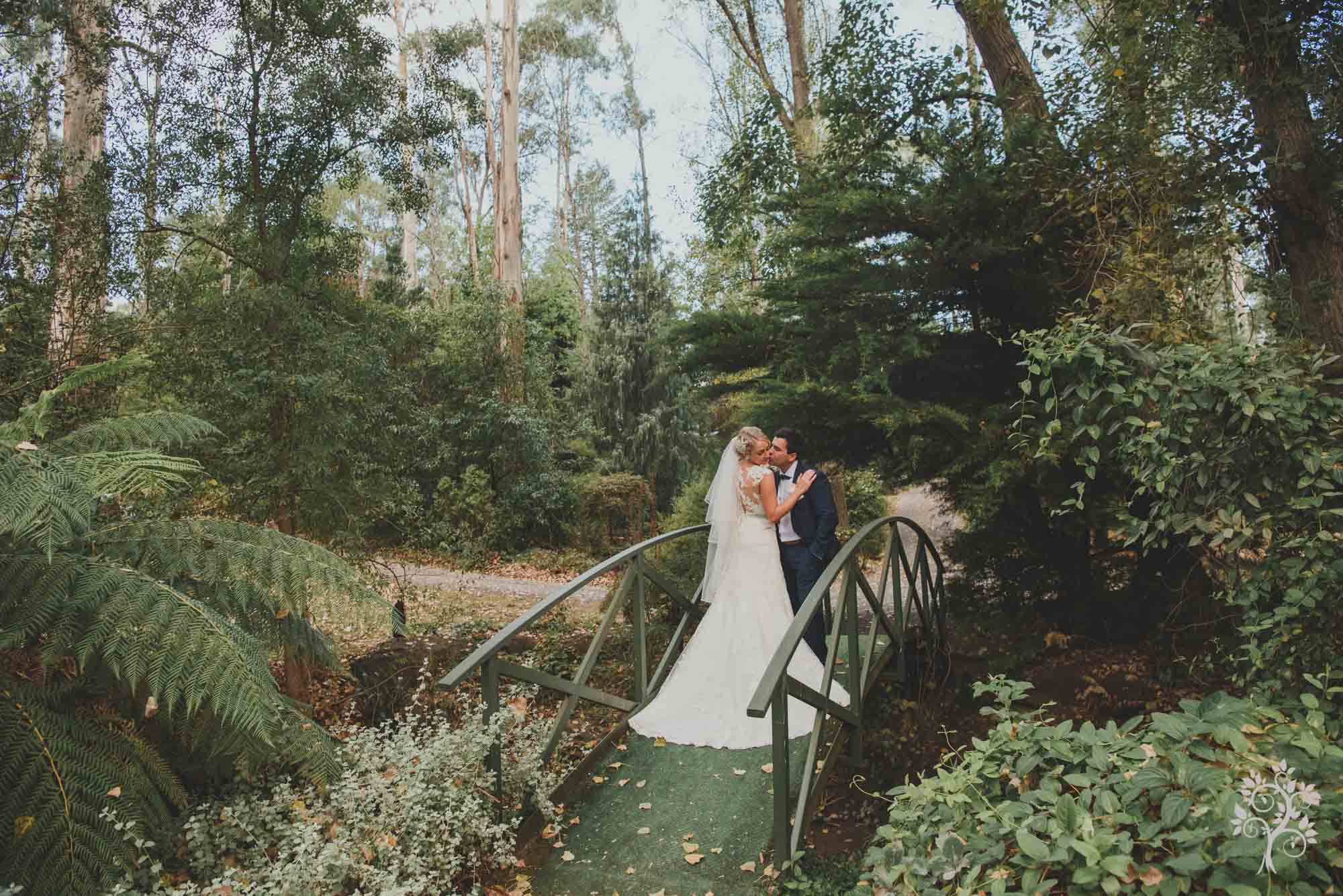 Dandenong Mount Range Wedding