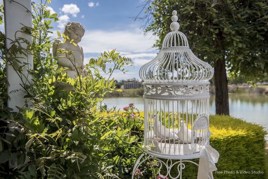 Windmill Gardens 1 - Victoria & Cameron | Windmill Gardens Wedding Photography