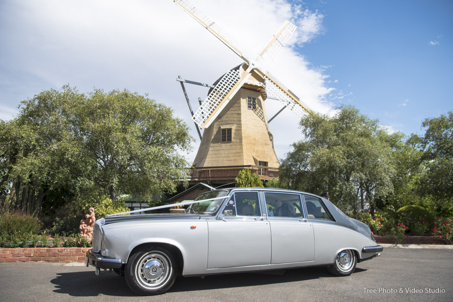 Windmill Gardens 16 - Victoria & Cameron | Windmill Gardens Wedding Photography