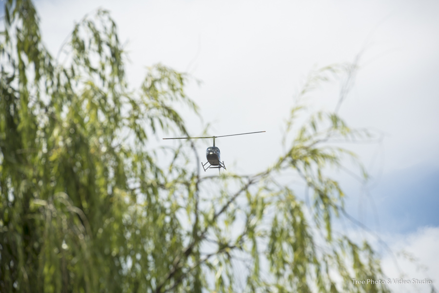 Windmill Gardens 8 - Victoria & Cameron | Windmill Gardens Wedding Photography