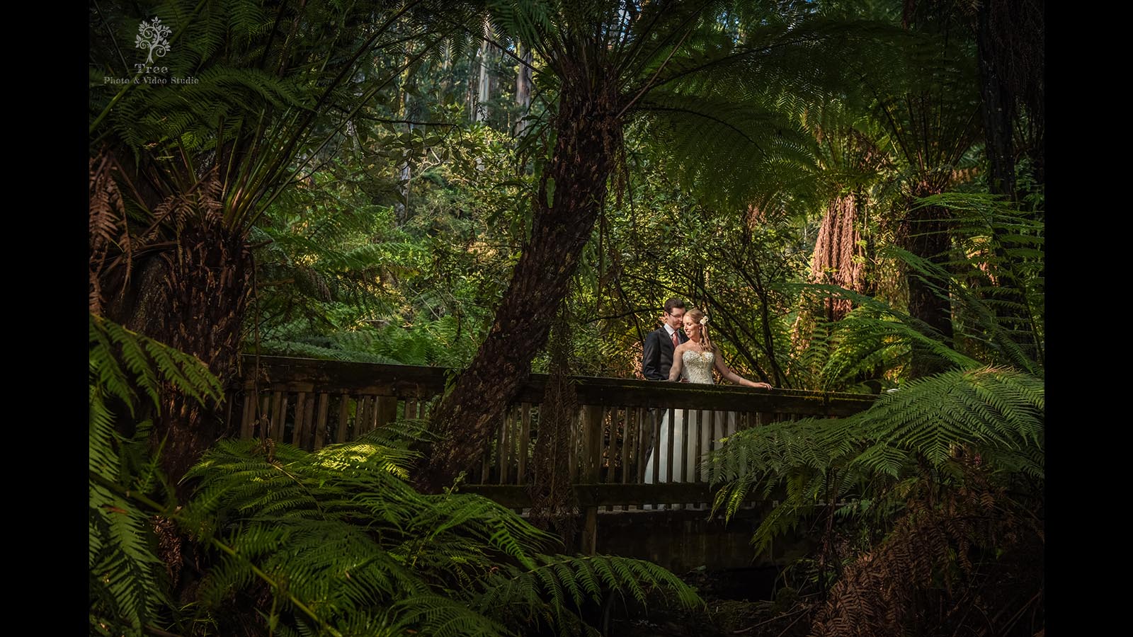 Anika Dean Lyrebird Falls Wedding Photography 28 - Anika & Dean | Lyrebird Falls Wedding Photography