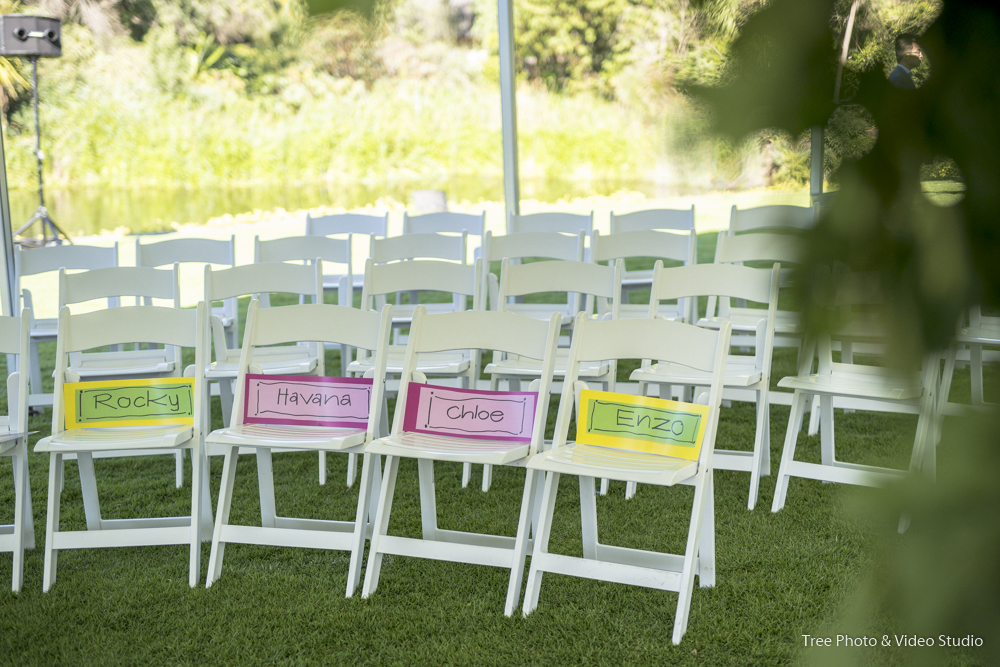 Jewish Wedding Photography Melbourne