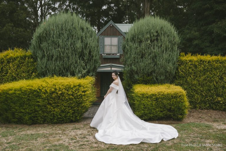 Mist at Olinda GS (43)