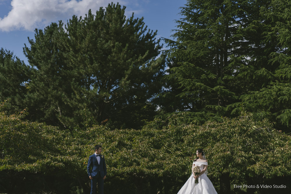 Mist at Olinda GS 82 - 9 Exquisite Wedding Venues in Dandenong Ranges