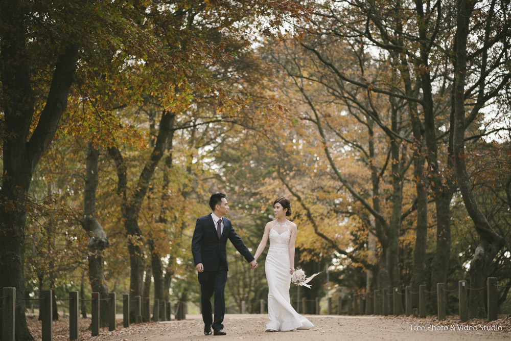 Pre-wedding Photoshoot at Melbourne