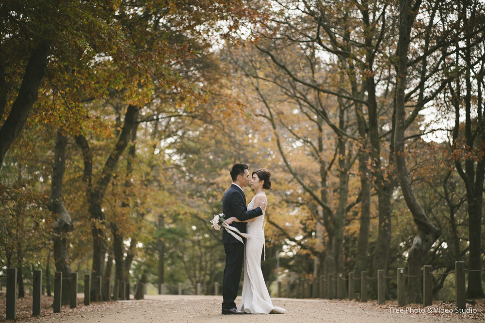 Pre-wedding photoshoot in Melbourne