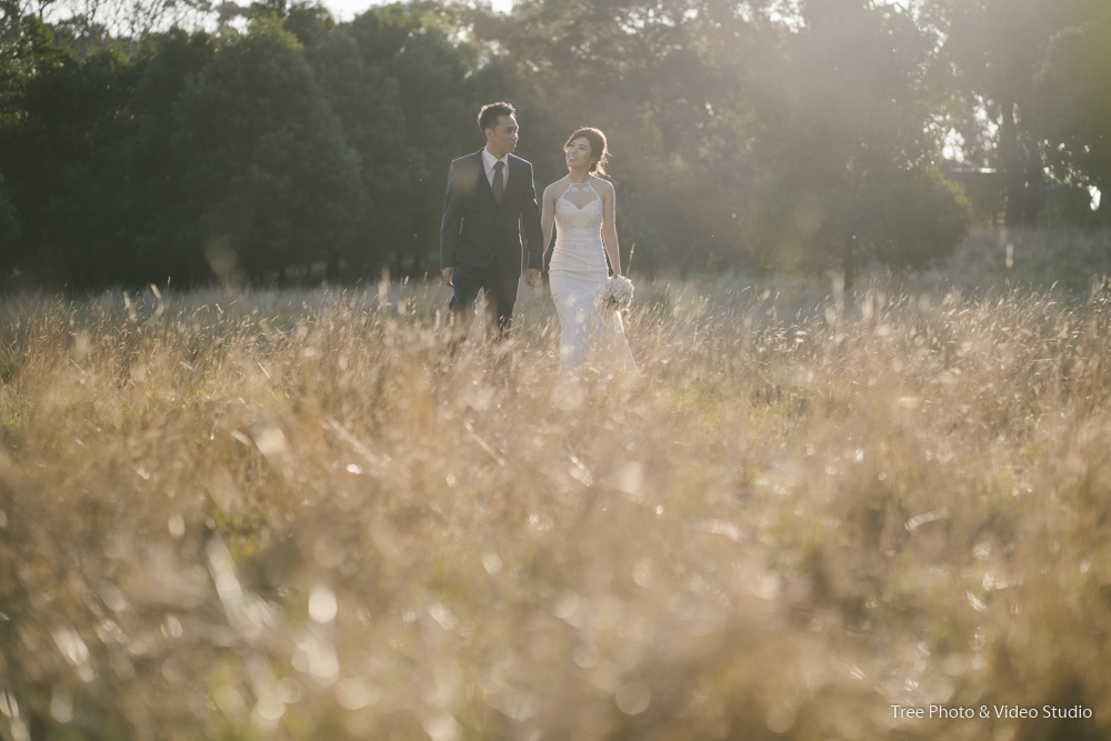 Pre wedding photo shoot Melbourne