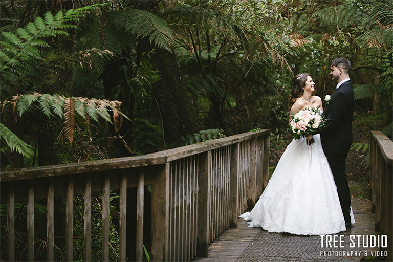 Lyrebird Falls Wedding Photography H (1)