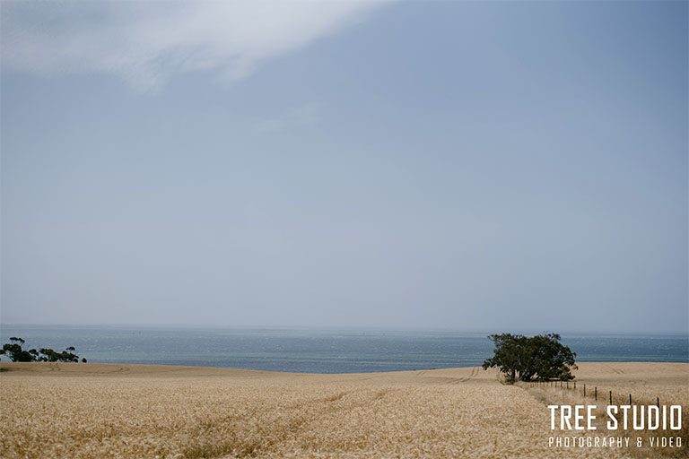 BAIE Wines Wedding Photography DD (33)