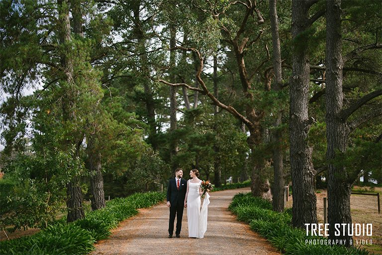 Little Vineyard Wedding Photography KT (1)
