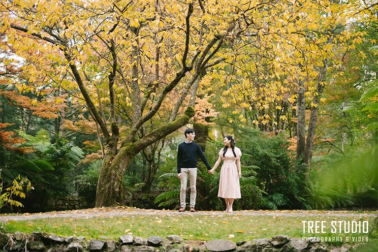 Dandenong Moutain pre-wedding photography SK (27)