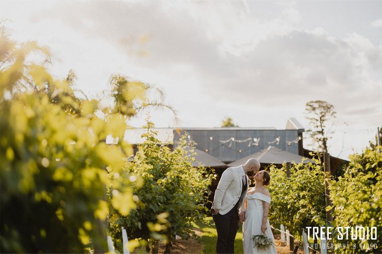 Little Vineyard Wedding Photography JN (2)